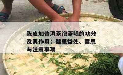 陈皮加普洱茶泡茶喝的功效及其作用：健康益处、禁忌与注意事项