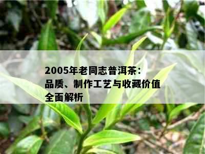 2005年老同志普洱茶：品质、制作工艺与收藏价值全面解析