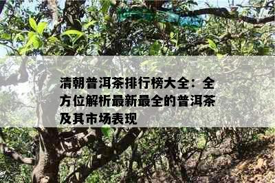 清朝普洱茶排行榜大全：全方位解析最新最全的普洱茶及其市场表现