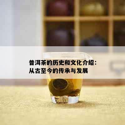 普洱茶的历史和文化介绍：从古至今的传承与发展