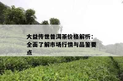 大益传世普洱茶价格解析：全面了解市场行情与品鉴要点