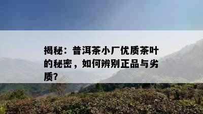 揭秘：普洱茶小厂优质茶叶的秘密，如何辨别正品与劣质？