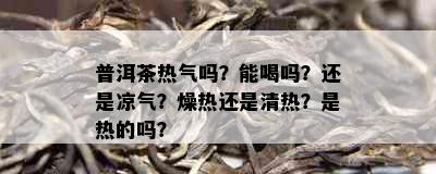 普洱茶热气吗？能喝吗？还是凉气？燥热还是清热？是热的吗？