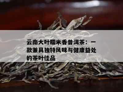 云南大叶糯米香普洱茶：一款兼具独特风味与健康益处的茶叶佳品