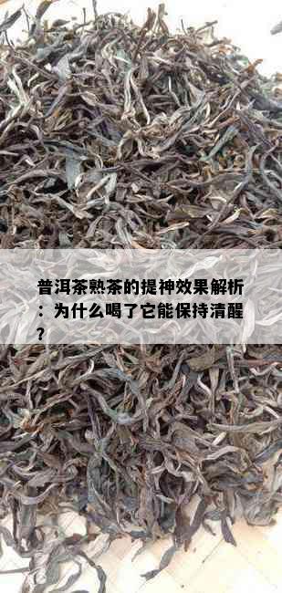 普洱茶熟茶的提神效果解析：为什么喝了它能保持清醒？