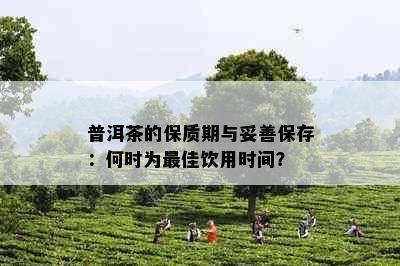 普洱茶的保质期与妥善保存：何时为更佳饮用时间？