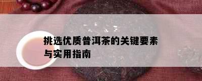 挑选优质普洱茶的关键要素与实用指南