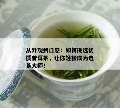 从外观到口感：如何挑选优质普洱茶，让你轻松成为选茶大师！