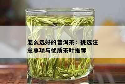 怎么选好的普洱茶：挑选注意事项与优质茶叶推荐