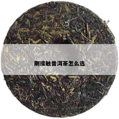 刚接触普洱茶怎么选