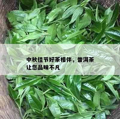 中秋佳节好茶相伴，普洱茶让您品味不凡