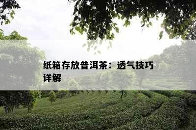 纸箱存放普洱茶：透气技巧详解