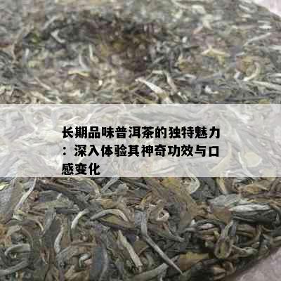 长期品味普洱茶的独特魅力：深入体验其神奇功效与口感变化