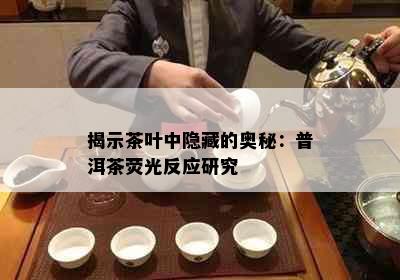 揭示茶叶中隐藏的奥秘：普洱茶荧光反应研究