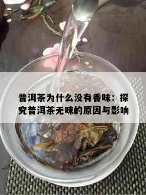 普洱茶为什么没有香味：探究普洱茶无味的原因与影响