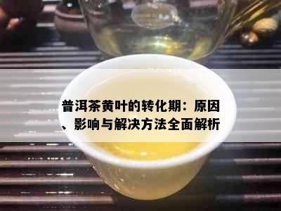 普洱茶黄叶的转化期：原因、影响与解决方法全面解析