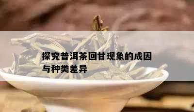 探究普洱茶回甘现象的成因与种类差异