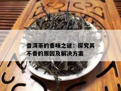 普洱茶的香味之谜：探究其不香的原因及解决方案