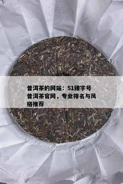 普洱茶的网站：51臻字号普洱茶官网，专业排名与风格推荐