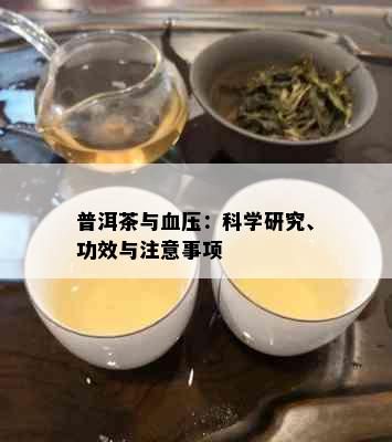 普洱茶与血压：科学研究、功效与注意事项