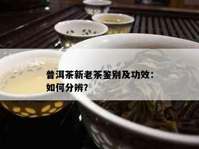 普洱茶新老茶鉴别及功效：如何分辨？