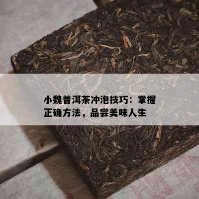 小魏普洱茶冲泡技巧：掌握正确方法，品尝美味人生