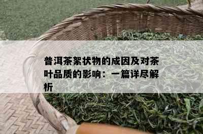 普洱茶絮状物的成因及对茶叶品质的影响：一篇详尽解析