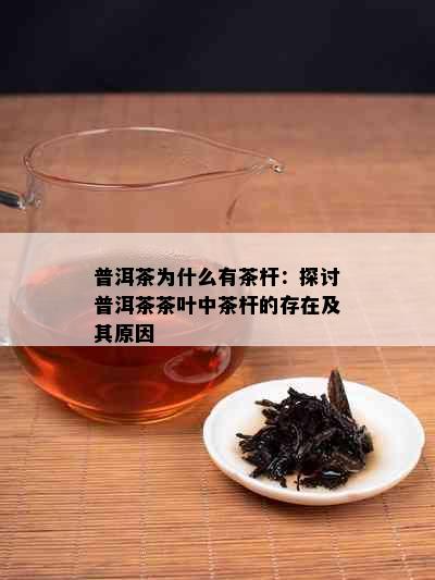 普洱茶为什么有茶杆：探讨普洱茶茶叶中茶杆的存在及其原因