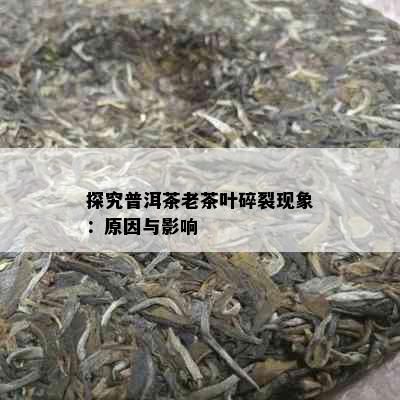 探究普洱茶老茶叶碎裂现象：原因与影响