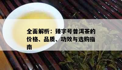 全面解析：臻字号普洱茶的价格、品质、功效与选购指南