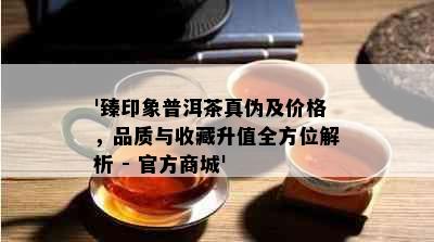 '臻印象普洱茶真伪及价格，品质与收藏升值全方位解析 - 官方商城'