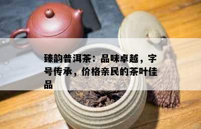 臻韵普洱茶：品味卓越，字号传承，价格亲民的茶叶佳品