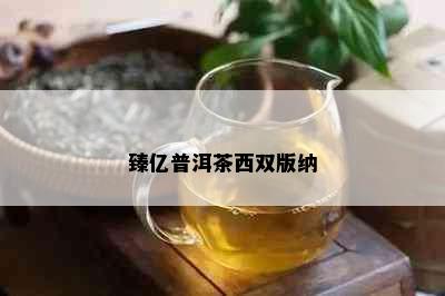 臻亿普洱茶西双版纳