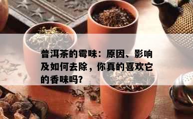 普洱茶的霉味：原因、影响及如何去除，你真的喜欢它的香味吗？