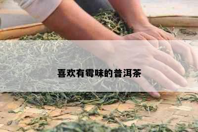 喜欢有霉味的普洱茶