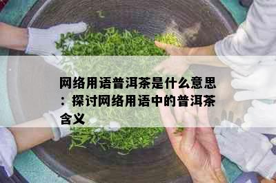 网络用语普洱茶是什么意思：探讨网络用语中的普洱茶含义