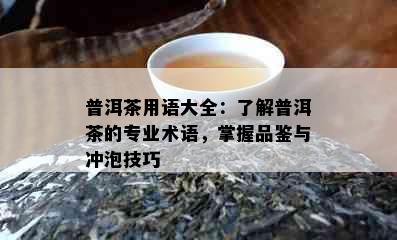 普洱茶用语大全：了解普洱茶的专业术语，掌握品鉴与冲泡技巧