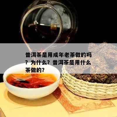 普洱茶是用成年老茶做的吗？为什么？普洱茶是用什么茶做的？