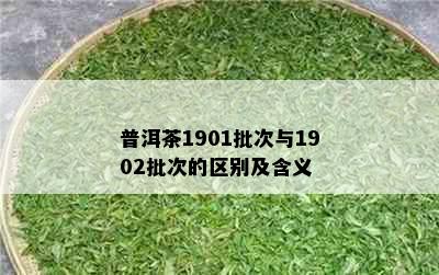 普洱茶1901批次与1902批次的区别及含义