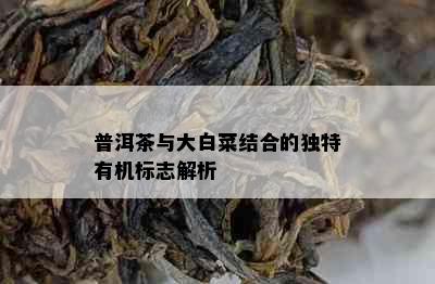 普洱茶与大白菜结合的独特有机标志解析