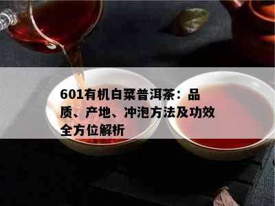 601有机白菜普洱茶：品质、产地、冲泡方法及功效全方位解析