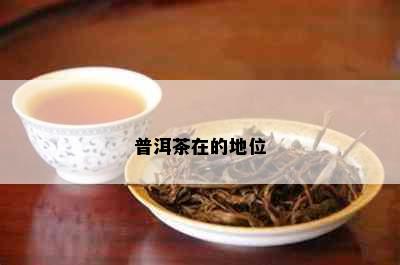 普洱茶在的地位