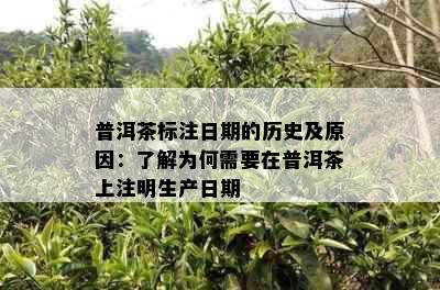 普洱茶标注日期的历史及原因：了解为何需要在普洱茶上注明生产日期