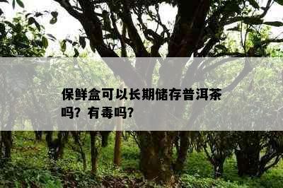 保鲜盒可以长期储存普洱茶吗？有吗？