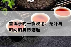 普洱茶的一夜浸泡：茶叶与时间的美妙邂逅