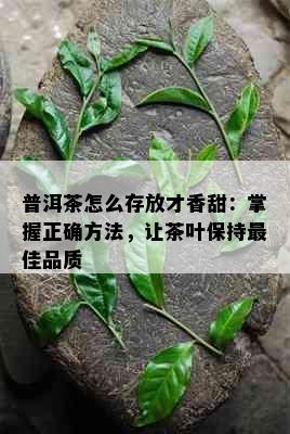 普洱茶怎么存放才香甜：掌握正确方法，让茶叶保持更佳品质