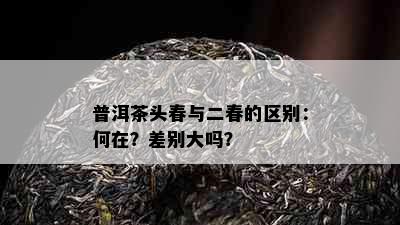 普洱茶头春与二春的区别：何在？差别大吗？