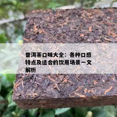 普洱茶口味大全：各种口感特点及适合的饮用场景一文解析