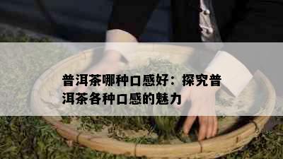 普洱茶哪种口感好：探究普洱茶各种口感的魅力