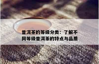 普洱茶的等级分类：了解不同等级普洱茶的特点与品质